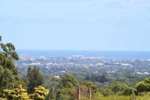 carrick hill 2014 (103)